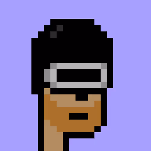 V1 PUNK #8131