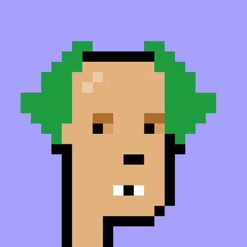 V1 PUNK #6575