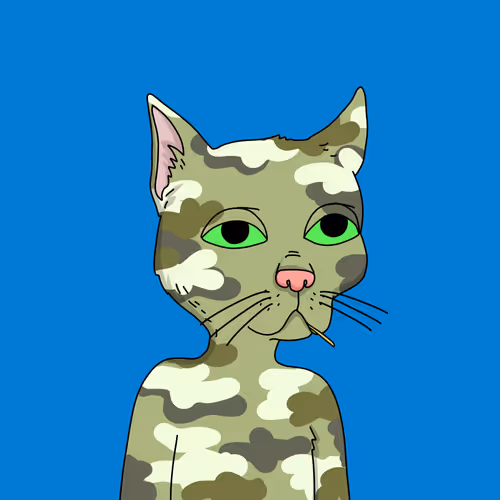 Gutter Cat #1618