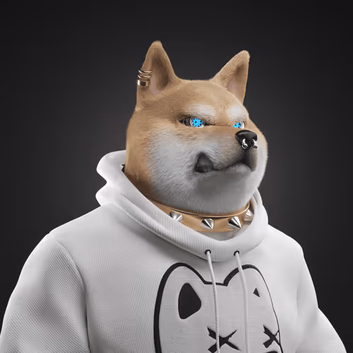 Shiba #2376