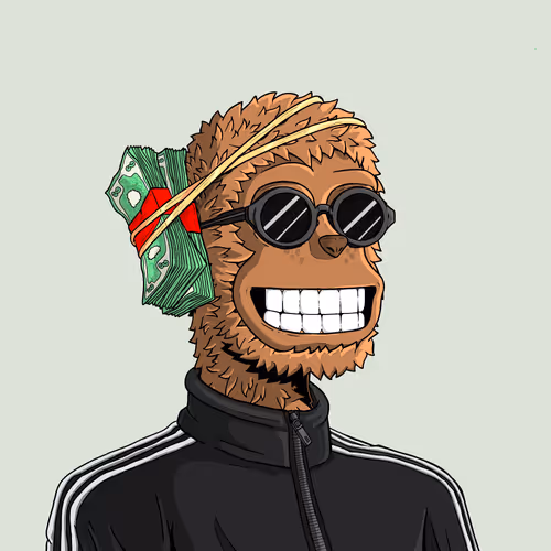 y00t #8441