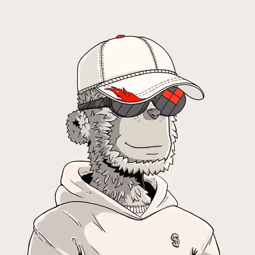 y00t #3786
